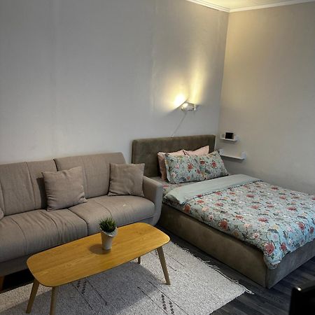 1 Bedroom Apartment Near Kadriorg Swan Pond Tallinn Buitenkant foto