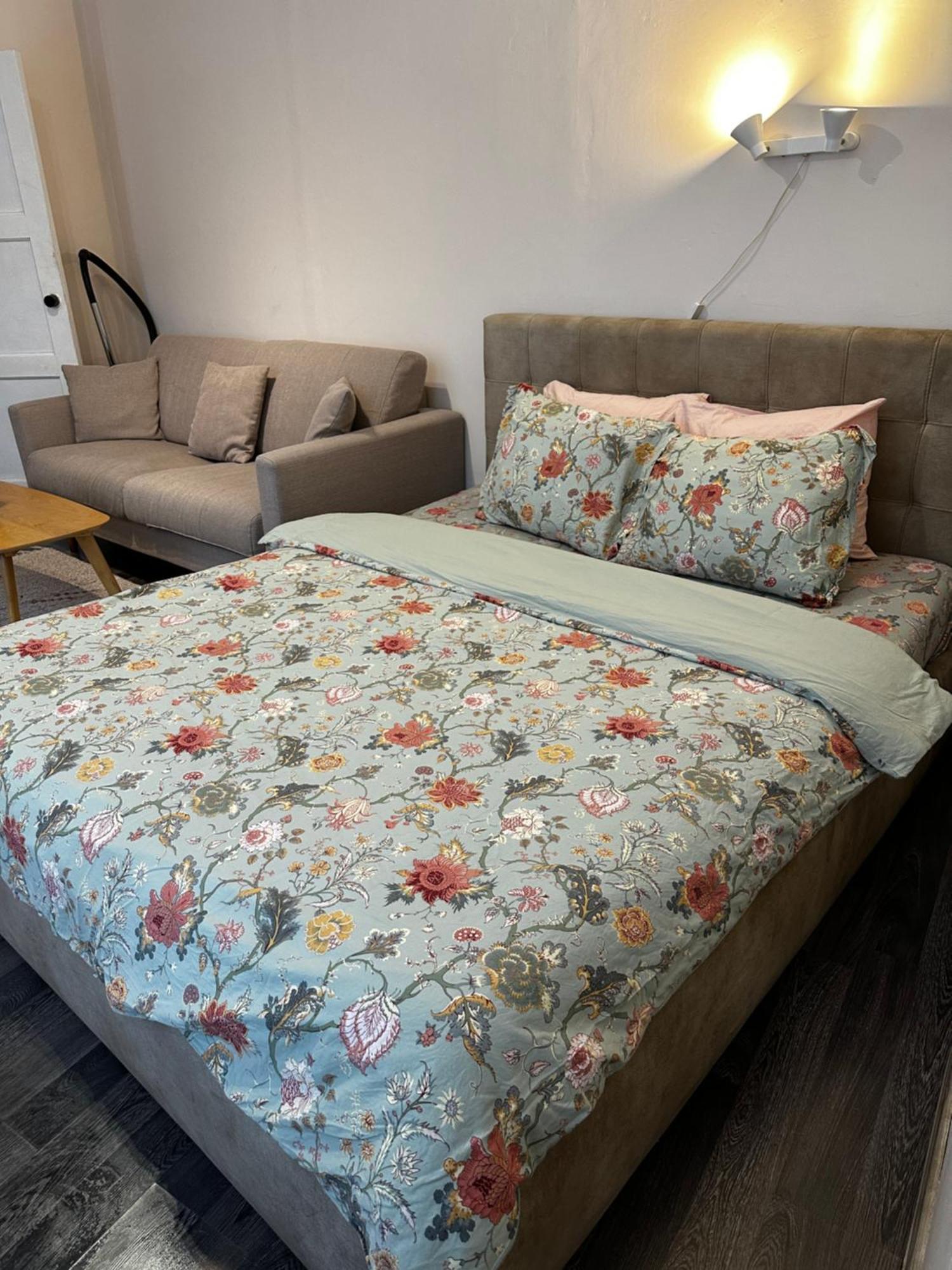 1 Bedroom Apartment Near Kadriorg Swan Pond Tallinn Buitenkant foto